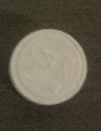 Replacement Plug for Water Leak Detector & Shutoff Valve